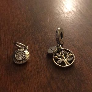 Pandora charms